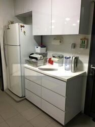 Blk 1 The Pinnacle@Duxton (Bukit Merah), HDB 4 Rooms #511278061